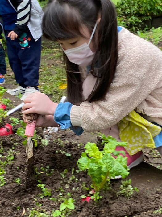 112年1月16日小田園種下好彩頭-19