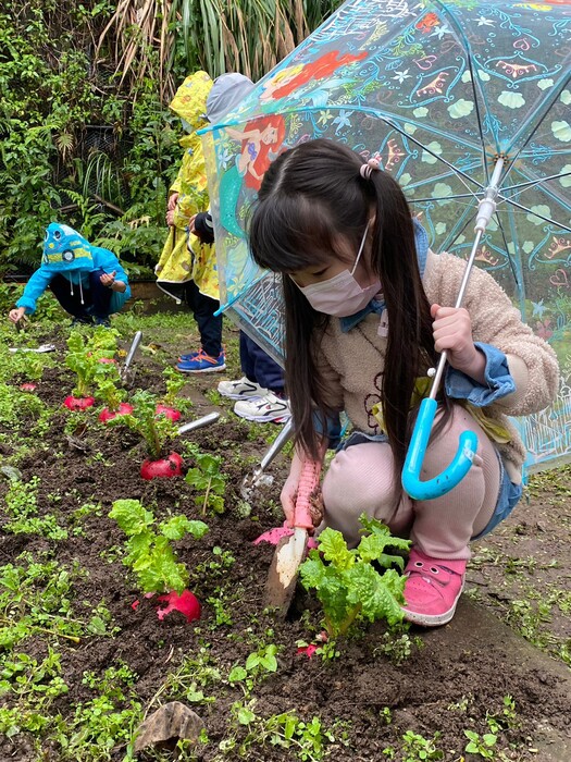 112年1月16日小田園種下好彩頭-20